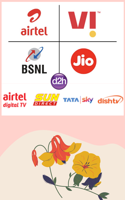 Why Choose Us